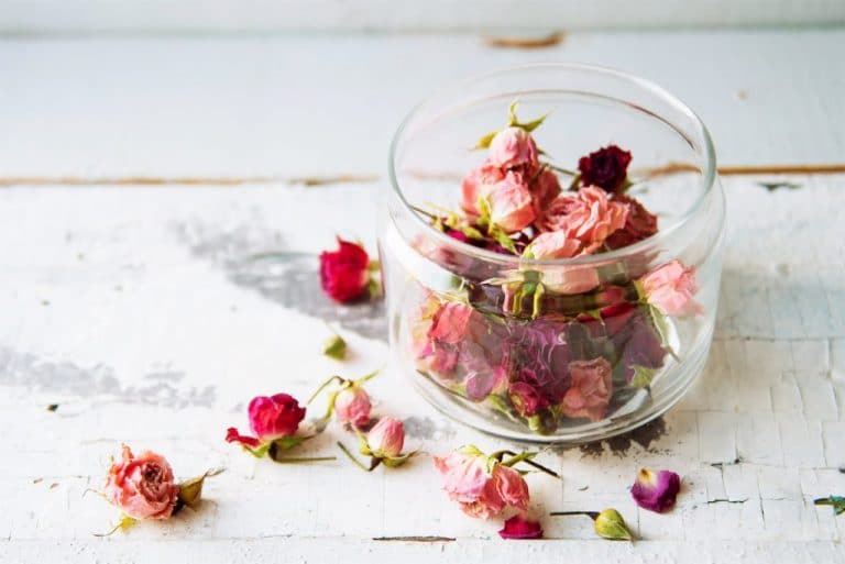 Cyrena Wellbeing - wellness subscription box with free shipping in UK
