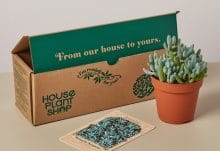 Plant Subscription