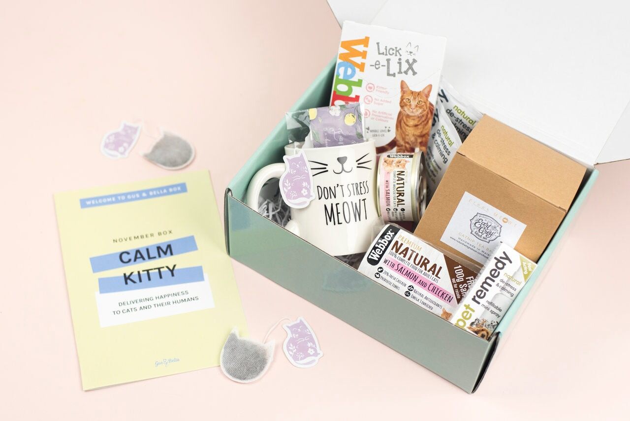 An open Gus & Bella box with a Calm Kitty booklet, cat treats and gifts for the owner