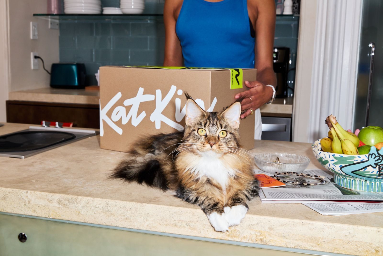 Maincoon cat sat in front of a KatKin box looking at the camera