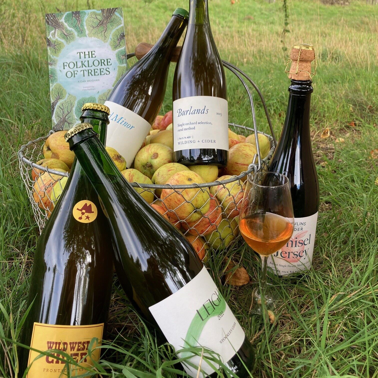 The first Rawlins x Wilding Somerset Cider Box: five cider bottles and the book The Folklore of Trees in a basket of apples on grass