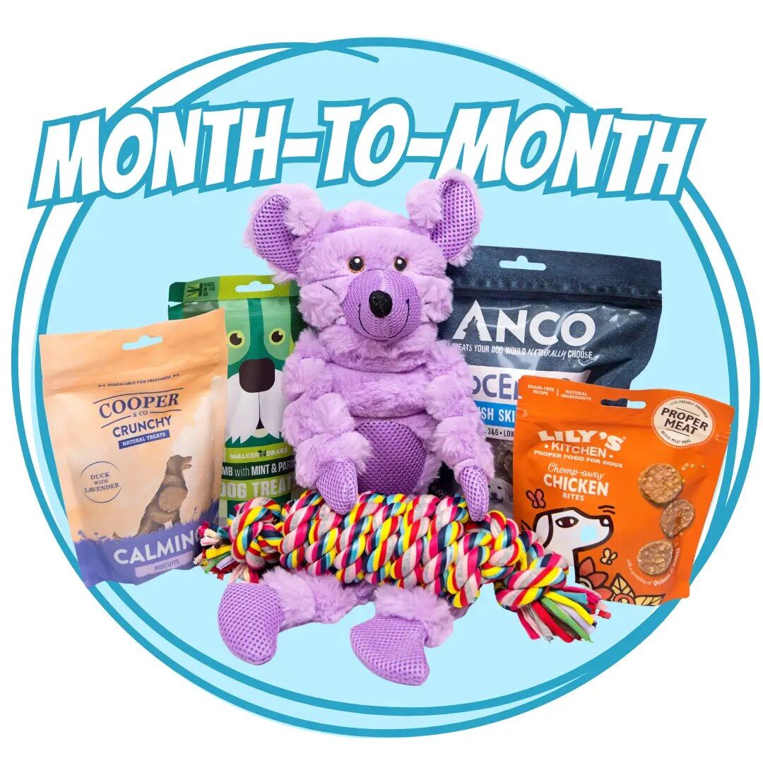 A Woofbox Month-to-Month box with a purple plush mouse, a rope toy and four bags of treats from Cooper & Co, Walker & Drake, Anco and Lily's Kitchen