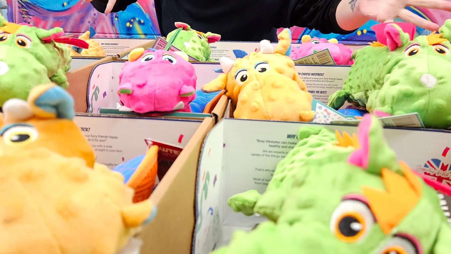 Open Woofbox subscription boxes being packed with plush dinosaur dog toys